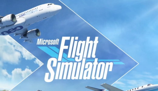 Microsoft Flight Simulator【動画】